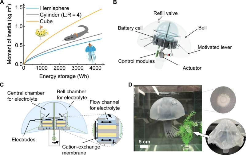 embodied-energy-powers.jpg